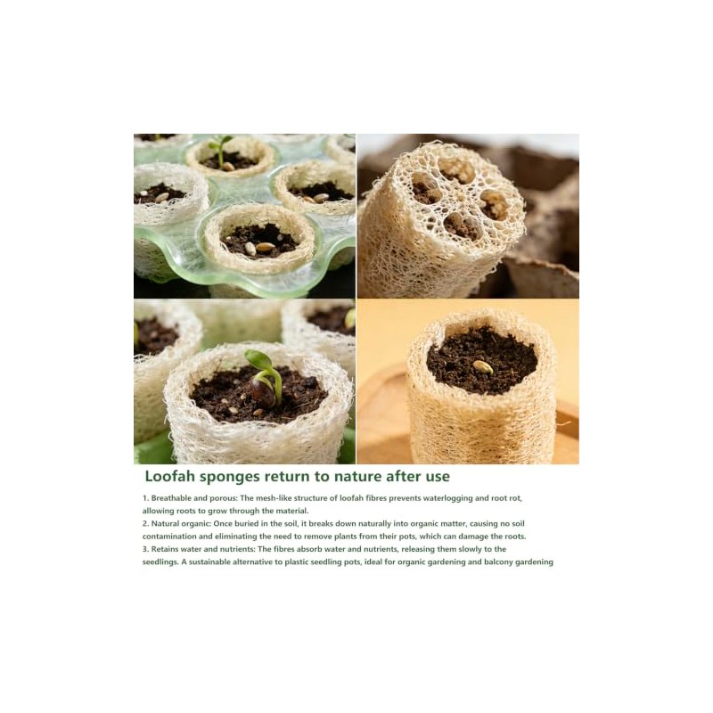 Esponjas naturales de lufa biodegradables para el cuerpo, esponja exfoliante