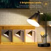 Industrial Dimmable Desk Lamp with 2 USB Charging Ports AC