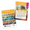 CRYSTAL ART Elephant Wildlife Buddies Kit Craft Buddy