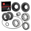 Rear Differential Bearing & Seal KIT for Honda Rincon 650