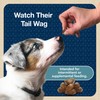 Blue Buffalo Bits Soft Dog Treats for Training, Made with