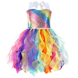 Little Funny Tutu Dress for Girls Sequin Outfit Layered Tulle Rainbow Tutu Skirt with 4 Years Princess Dresses for Girls' Special Occasion Dresses