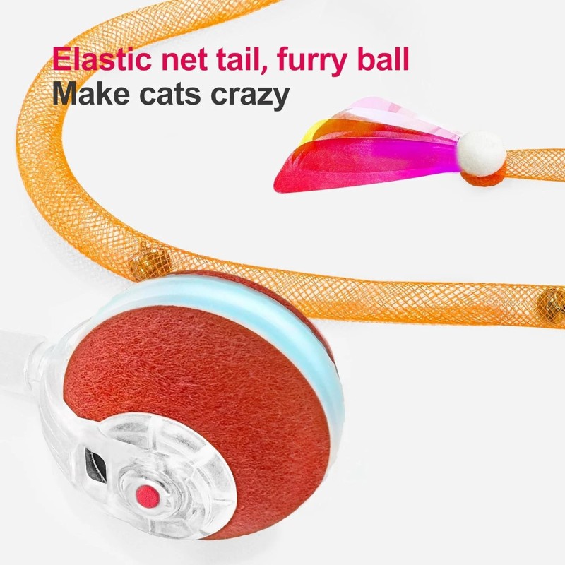 CA&T Interactive Cat Toys for Indoor Cats