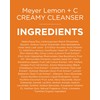 Andalou Naturals Brightening Meyer Lemon + Vitamin C Creamy Cleanser