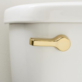 Qualihome Front Mount Toilet Handle, Universal Toilet Flush Handle, Elegant Toilet Lever, Complete Toilet Handle Replacement Kit, Heavy-Duty Toilet Tank Flusher Handle (Brass Polished)