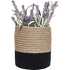Wall Hanging Storage Baskets - Small Cotton Rope Woven Closet