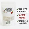 Blentolia Pomegranate Peel Tea – 100% Natural Herbal Tea Bags