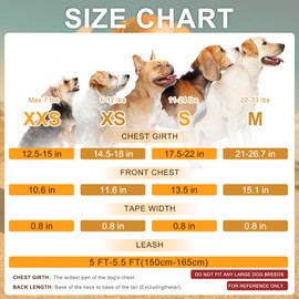 BEAUTYZOO No Pull Small Dog Harness and Leash Set for Small Medium Dogs, Soft Flannel Padded Dog Vest Harness, Adjustable Puppy Harness Front Back Clip Attachment, Quick Fit Easy for Training Walking