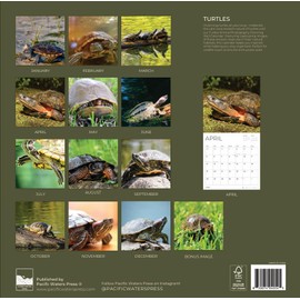 2026 Wall Calendar | 12" x 24" Open | Nature Photography Thick & Sturdy Paper for Organizing & Planning | Office Kitchen Decor or Gift | Pacific Waters Press (Turtles)