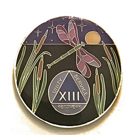 13 Year The Dragonfly Promises AA Medallion Alcoholics Anonymous Chip, Token, Coin, Purple Y