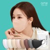 Arte Eggline Bird Beak Color Mask Large White Black 50 sheets/100 sheets, Black 50 sheets / 아르떼 에그라인 새부리형 컬러 마스크 대형 화이트 블랙 50매/100매, 블랙 50매