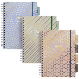 Pukka Pad Haze B5 Notebook – Pack of 3 Wirebound Notebooks with 5 Repositionable Dividers with Storage Pockets and Tabs for Organisation and Personalisation – 200 Pages, 100 Sheets of 80GSM Paper