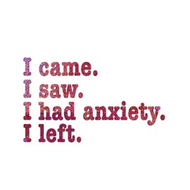 I Came I Saw I Had Anxiety Sticker Decal Notebook Car Laptop 5.5"x3.25" (Pink Holographic Giltter)