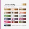[Salon Exclusive] Chromato Color Treatment (Wisteria Ash) Large Capacity 17.6