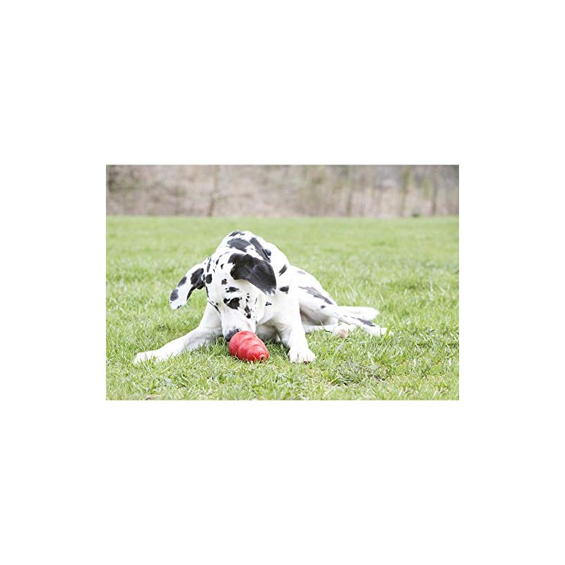 KONG XB1 Crema de Cacahuate para Perros, Multicolor
