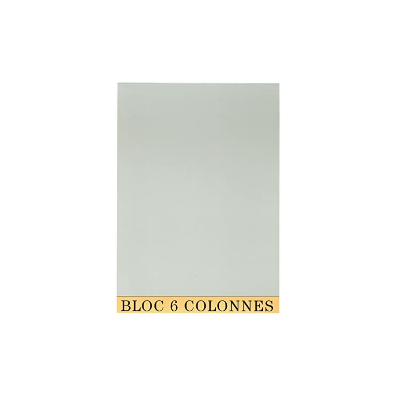 Bloc de Controle Comptable 29,7x21cm - 6 Colonnes - 70