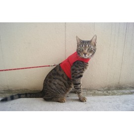 Mynwood Cat Jacket/Harness Red Fleece Kitten up to 8month