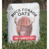 Buck Forage Oats Food Plot Seeds - 50 Lbs.