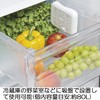 OXO 野菜 保存 容器 グリーンセーバー 活性炭 カートリッジ