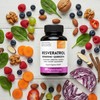 Sandhu's Resveratrol with Berberine for Gut Health | Digestive Supplement