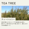 Tree of Life Tea Tree Essential Oil 10ml Essential Oil