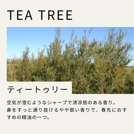 Tree of Life Tea Tree Essential Oil 10ml Essential Oil Aroma Oil