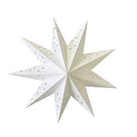 BESPORTBLE Pack of 2 Lampshade Star: 45 cm Paper Star Lampshade Christmas Star Paper Hollow Christmas Pendant Wedding Birthday Party Christmas Decoration