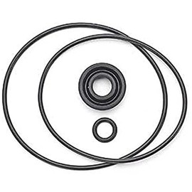 MagnaFuel Fuel Pump Rebuild Kit, Electric, Seals, Magnafuel Prostar 500 Fuel Pumps With Filters, Kit
