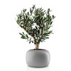 Eva Solo Stone Flowerpot Diameter 19 cm, Grey, Medium