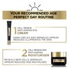 L'Oreal Paris Cell Renew Day Cream, Age Perfect Anti-Oxidant Recovery