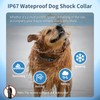WITPAW Dog Shock Collar 4900FT Dog Training Collar with Remote/Call