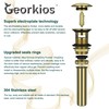 Georkios All Metal Brushed Gold Up Drain with Overflow, Rustproof