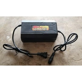 Fast Scooters Razor Crazy Cart XL 48v ONLY MX650 RSF 48 Volt OVERVOLT Charger 48v XLR DLX 500