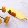 Buyer Star Cheese Butter Knife, Stainless Steel 6" Mini Desert