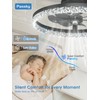 Passky 19.7” Low Profile Ceiling Fan with Lights and Remote,