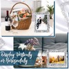 Yookeer 4 Pack 5 x 7 Inch Crystal Picture Frame