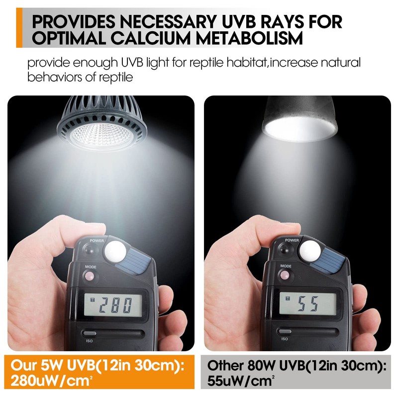 GeeKoit Premium High-Intensity UVB Reptile Light for Optimal Calcium Metabolism,5-Watt