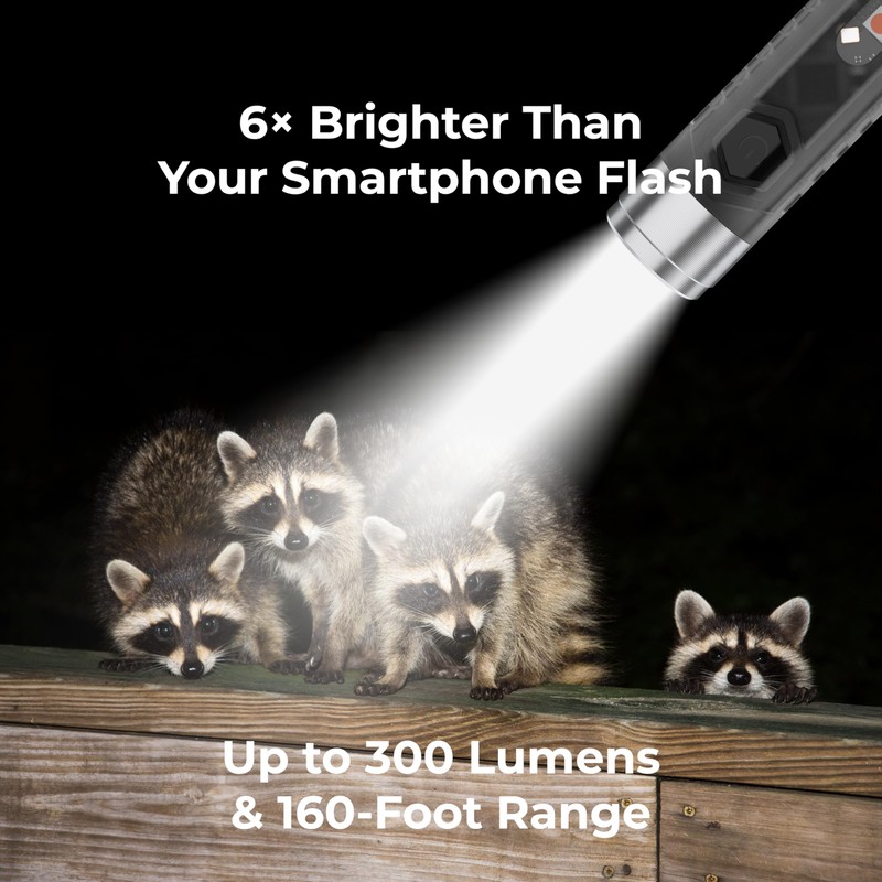 FlashFinder Key Finder, Find My Compatible, 2-in-1 Keychain Flashlight +