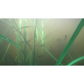 Pond King, Inc. Honey Hole Reeds Artificial Fish Habitat
