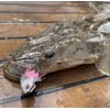 OSP Windy Windy Wind Fishing Lures for Flat Fish Flounder