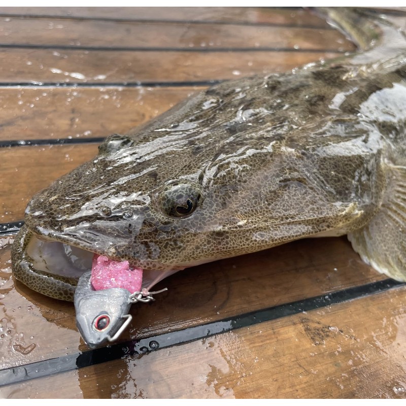 OSP Windy Windy Wind Fishing Lures for Flat Fish Flounder