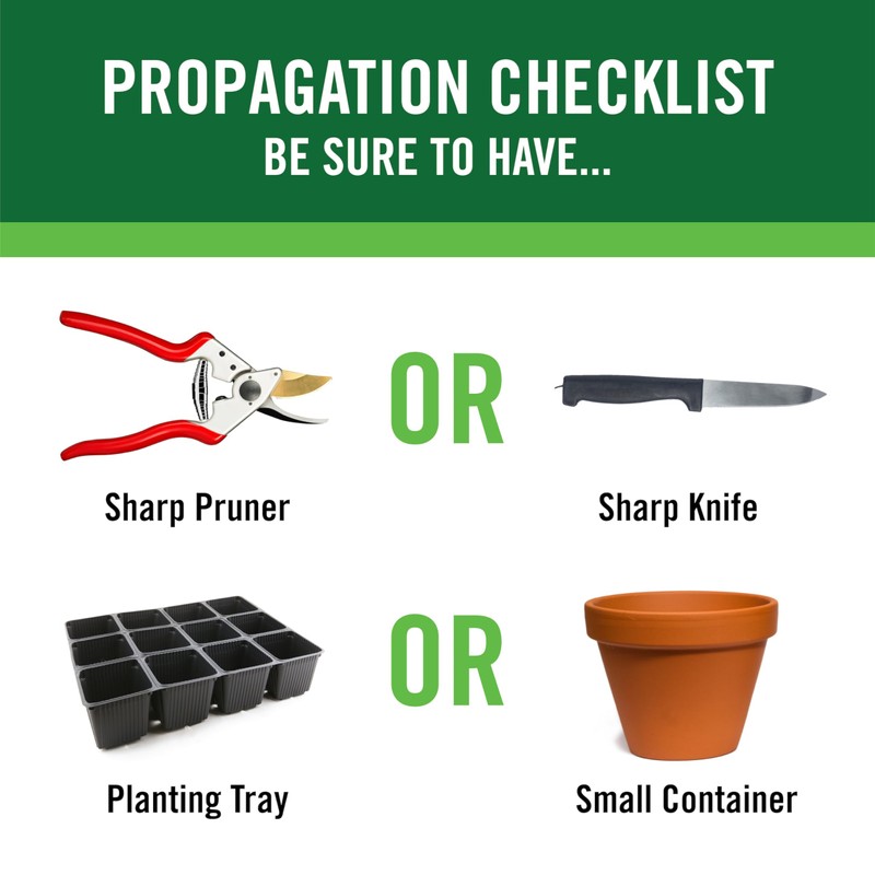 RootBoost Rooting Hormone 2 Ounces