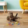 12 Pcs Colourful Cats Springs Toys - Interactive Cat &