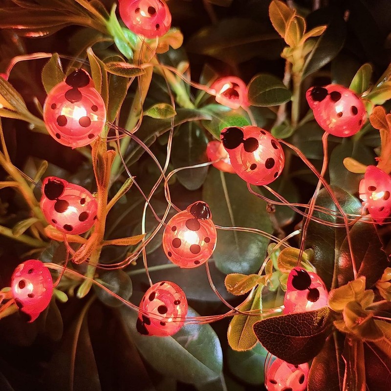 WONFAST Ladybugs Fairy String Lights, 9.8ft 30LED Ladybug Silver Wire