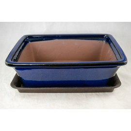 Calibonsai Rectangular Glazed Bonsai Pot, Cactus & Succulent Planter + Tray + Mesh 12 x 9 x 4 - Dark Blue Stain