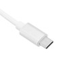 Type C to RJ45 Adapter 100M 1000M Drive Free Hot