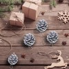 Christmas Pine Cones, 18 Pieces Mini Natural Pine Cone with
