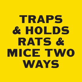 PIC Rat & Mouse Glue Boards, 2 Pack