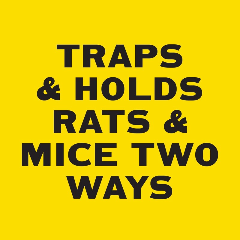 PIC Rat & Mouse Glue Boards, 2 Pack