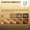 L'Oréal Paris Permanent Hair Colour, Hair Dye Set with Colouration